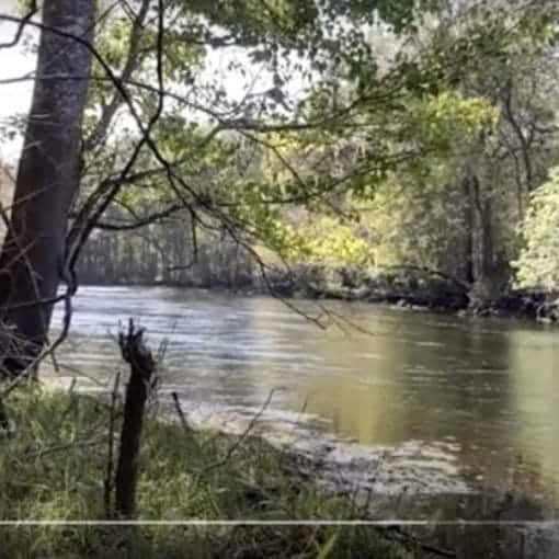 SFR/L.Awesome/Nov/JT